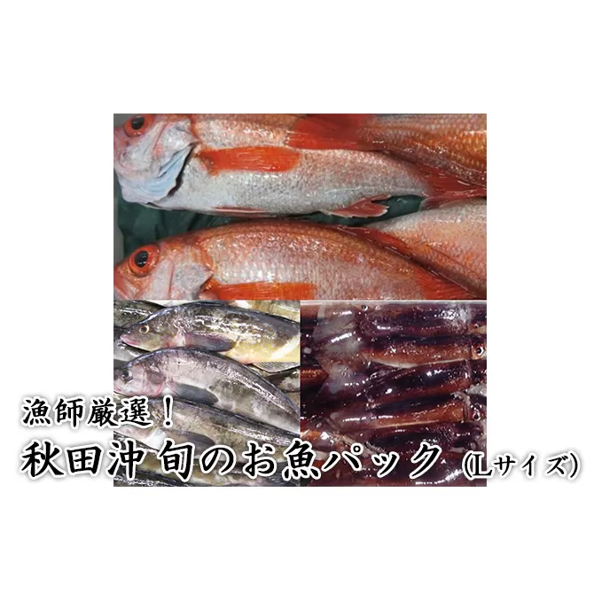 にかほ市の漁師厳選！秋田沖の旬のお魚パック！（Lサイズ・3～4人前）