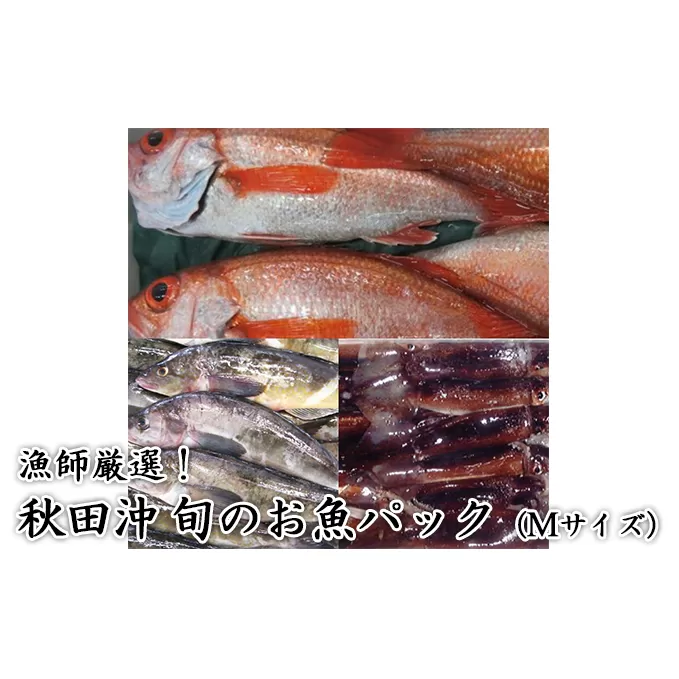 にかほ市の漁師厳選！秋田沖の旬のお魚パック！（Mサイズ・3～4人前）
