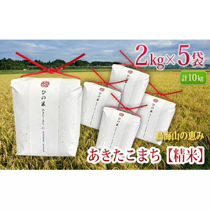 秋田県産 あきたこまち 精米 10kg（2kg×5袋）神宿る里の米「ひの米」（お米 小分け）