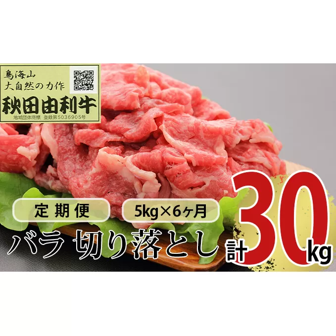 《定期便》6ヶ月連続 秋田由利牛 バラ切り落とし 5kg（1kg×5パック）