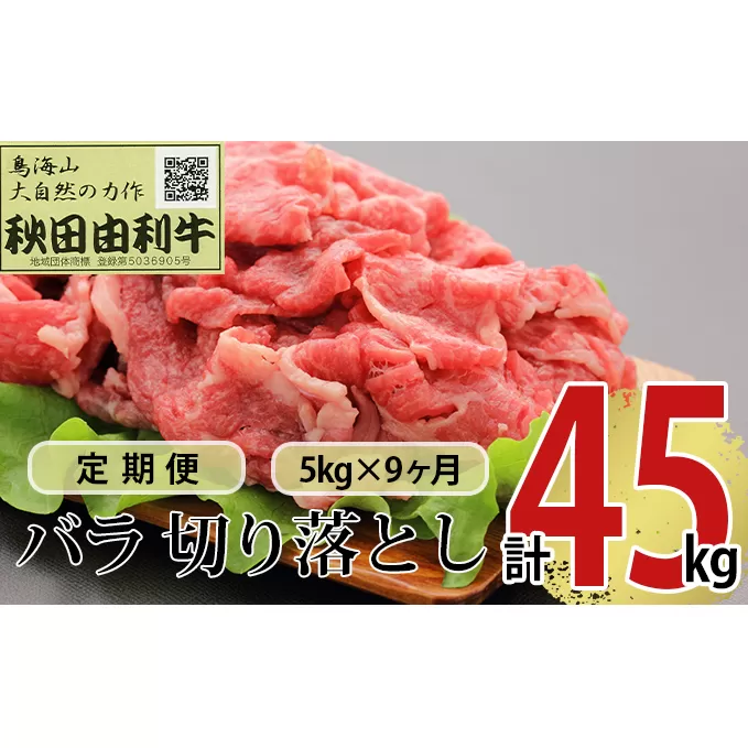 《定期便》9ヶ月連続 秋田由利牛 バラ切り落とし 5kg（1kg×5パック）