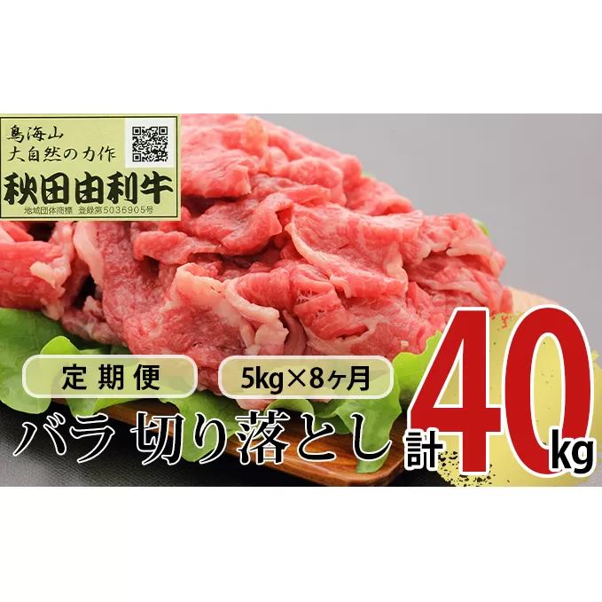 《定期便》8ヶ月連続 秋田由利牛 バラ切り落とし 5kg（1kg×5パック）