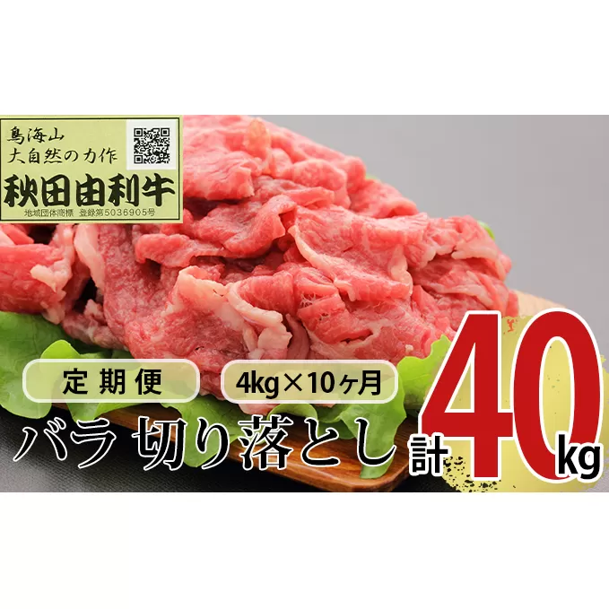 《定期便》10ヶ月連続 秋田由利牛 バラ切り落とし 4kg（1kg×4パック）