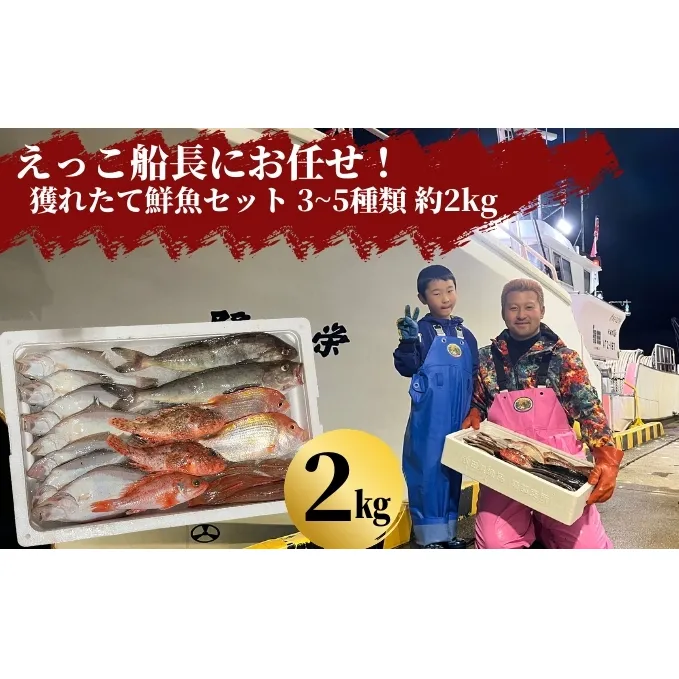 えっこ船長にお任せ！獲れたて鮮魚セット 3～5種類 約2kg（鮮魚 詰合せ ボックス）