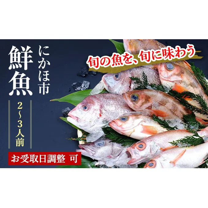 鮮魚 開けたらすぐ食べられる下処理済み 海産物 2～3人前 セット 日本海の鮮魚 魚 パック 詰め合わせ 海鮮セット 鮮魚ボックス 海鮮 海の幸 魚介 魚介類 刺身 切り身 ひらめ 鯛 甘エビ 鯵 あんこう 鮭 カレイ ハタハタ 鱈 ズワイガニ 食べ比べ 冷蔵