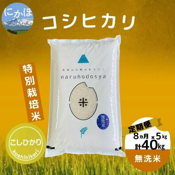【令和5年産】<8ヵ月定期便>【無洗米】特別栽培米コシヒカリ5kg×8回