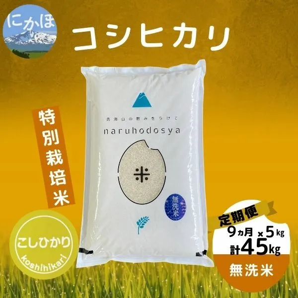 【令和5年産】<9ヵ月定期便>【無洗米】特別栽培米コシヒカリ5kg×9回