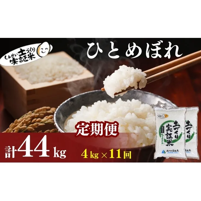 米 定期便 全11回 秋田県産 ひとめぼれ 4kg (2kg×2)×11回 計44kg 令和7年産［2025年11月頃から出荷予定］土づくり実証米 JAしんせい【 精米 白米 米 コメ お米 おこめ ブランド米 ご飯 ごはん 先行受付 新米 低たんぱく 産地直送 送料無料 高評価 秋田 にかほ 】