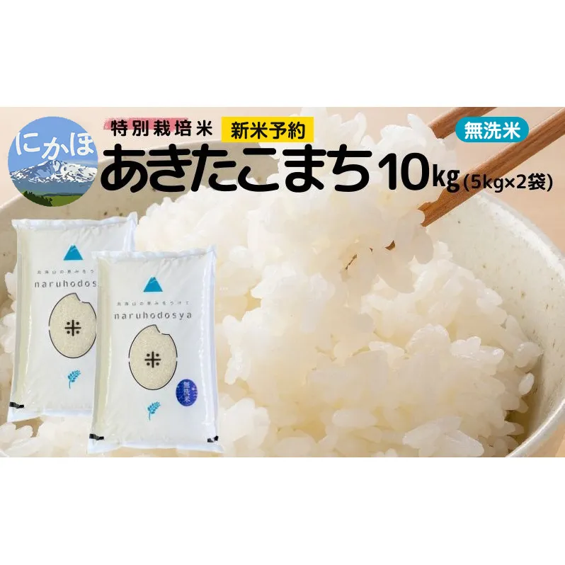 新米予約【無洗米】特別栽培米あきたこまち5kg×2 令和7年産 秋田県 にかほ市 お米 米 こめ