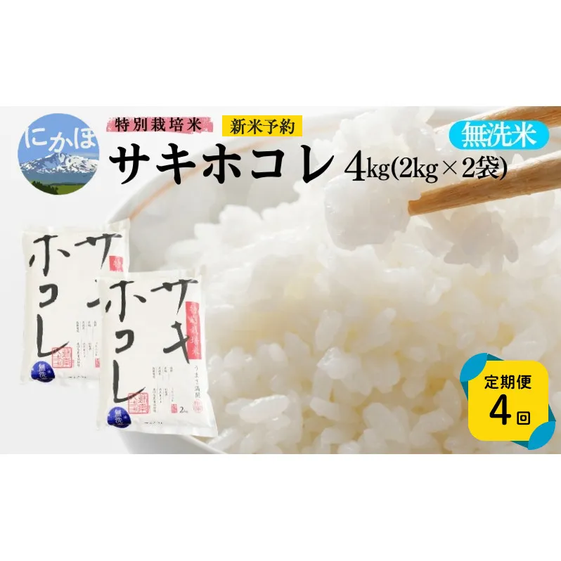新米予約 《定期便4ヵ月》【無洗米】特別栽培米サキホコレ4kg×4回 合計16kg 令和7年産 秋田県 にかほ市 お米 米 こめ