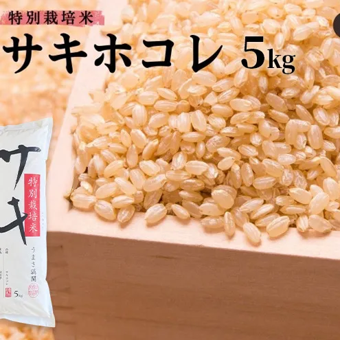 【新米予約】【玄米】特別栽培米サキホコレ5kg×1 令和7年産 秋田県 にかほ市 お米 米 こめ 玄米 新米