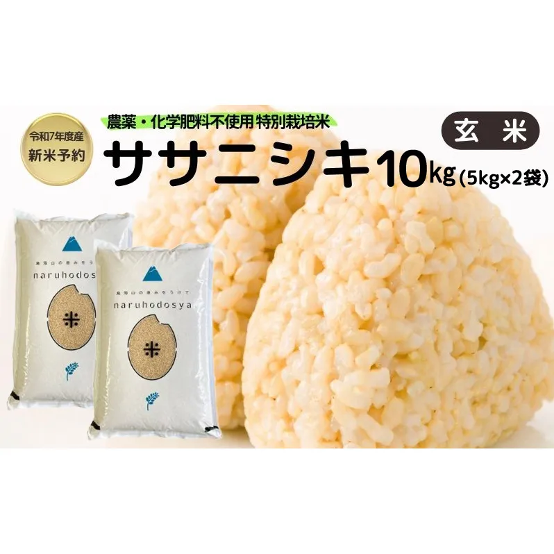 新米予約 栽培期間中 農薬・化学肥料不使用【玄米】特別栽培米ササニシキ10kg （5kg×2） 令和7年産 秋田県 にかほ市 お米 米 こめ