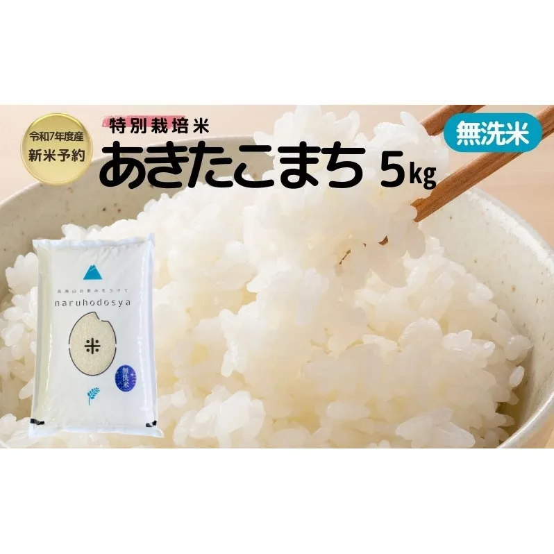 新米予約【無洗米】特別栽培米あきたこまち5kg×1 令和7年産 秋田県 にかほ市 お米 米 こめ