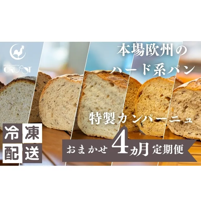 本場欧州のハード系パン 特製カンパーニュ 4カ月定期便(各月種類ランダム/焼成前各1kg)