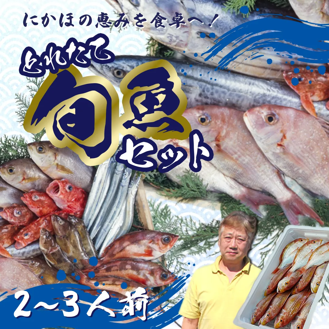 鮮魚 冷蔵 クール便「 開けたらすぐ食べられる下処理済み 海産物 2～3人前 セット 」みずしまや【 パック 詰め合わせ 海鮮セット 鮮魚ボックス 海鮮 海の幸 魚介 魚介類 刺身 切り身  秋田県 にかほ 】