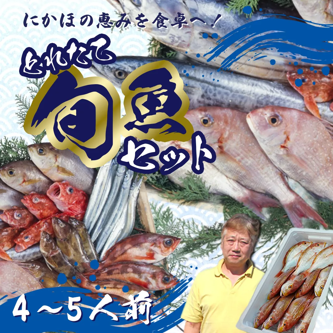 鮮魚 冷蔵 クール便「 開けたらすぐ食べられる下処理済み 海産物 4～5人前 セット 」みずしまや【 パック 詰め合わせ 海鮮セット 鮮魚ボックス 海鮮 海の幸 魚介 魚介類 刺身 切り身  秋田県 にかほ 】