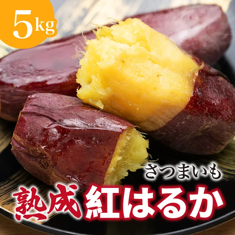 にかほ市 象潟町 大須郷産「 さつまいも 2ヶ月 熟成 紅はるか 5kg 」【 産地直送 国産 芋 おいも 定番 焼き芋 イモ 野菜 長期熟成 秋田県 にかほ】