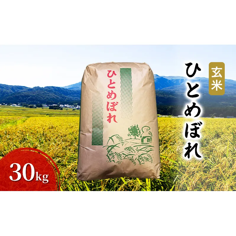 玄米 ひとめぼれ 30kg お米 米 こめ コメ 令和7年産 秋田県 にかほ市