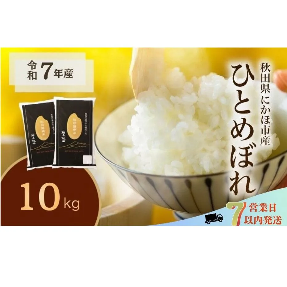 ひとめぼれ 令和7年度産 精米10kg(5kg×2)【精米 白米 米 コメ お米 おこめ ブランド米 ご飯 ごはん 秋田 にかほ】