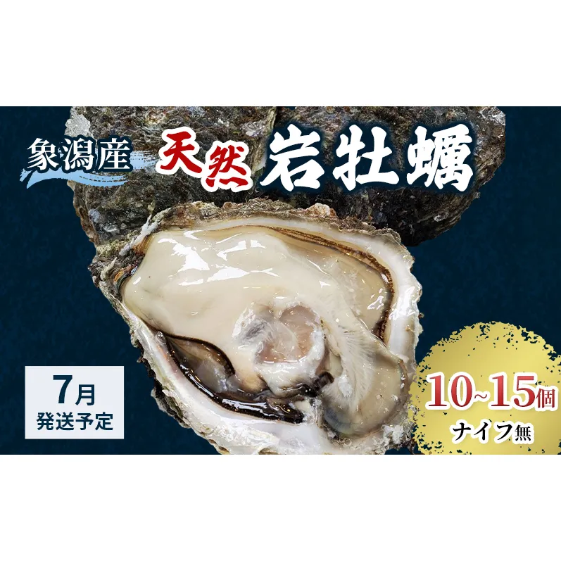 【 先行予約 7月上旬～下旬発送予定】象潟産 天然岩牡蠣 10～15個 ナイフ無【 牡蠣 夏牡蠣 かき 象潟 生食可 魚介類 海鮮 海産物 海の幸 】 さとう鮮魚店