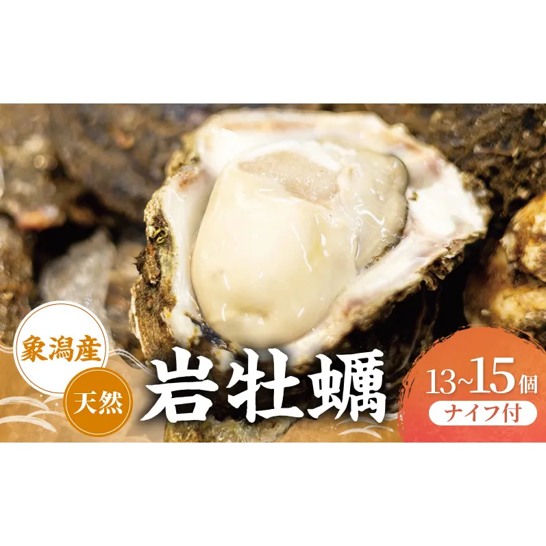 【先行予約 7月上旬～下旬発送予定】象潟産 天然岩牡蠣 13～15個 ナイフ付【牡蠣 夏牡蠣 かき 象潟 生食可 魚介類 海鮮　海産物 海の幸】　秋田商店