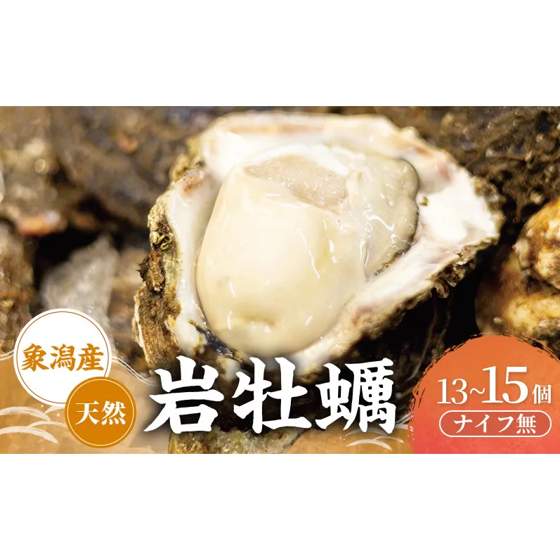【先行予約 7月上旬～下旬発送予定】象潟産 天然岩牡蠣　13～15個 ナイフ無【牡蠣 夏牡蠣 かき 象潟 生食可 魚介類 海鮮　海産物 海の幸】　秋田商店