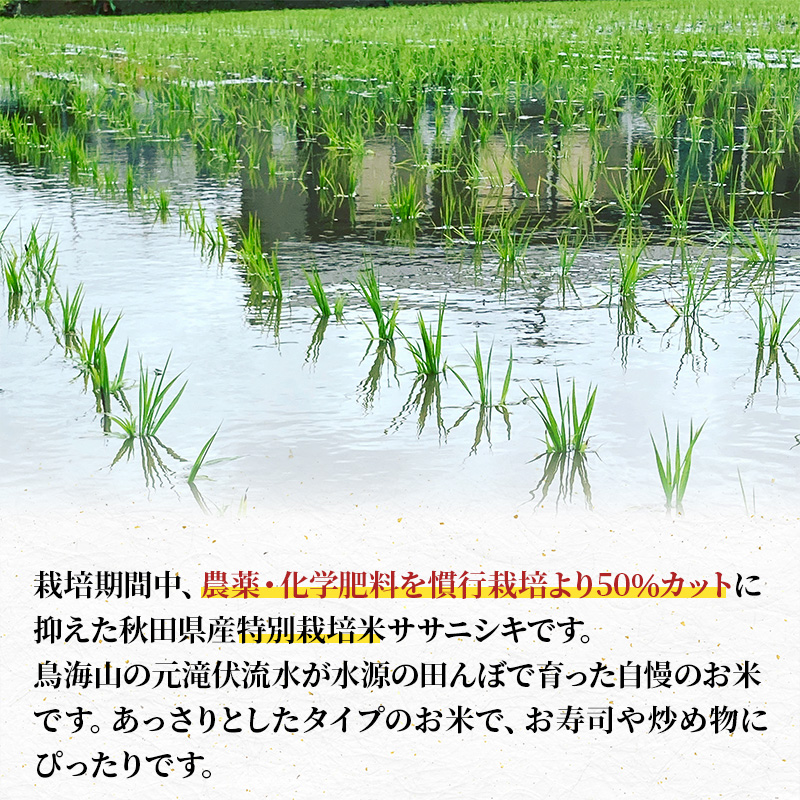 令和8年産 新米予約】【無洗米】秋田県産特別栽培米ササニシキ5kg×1袋
