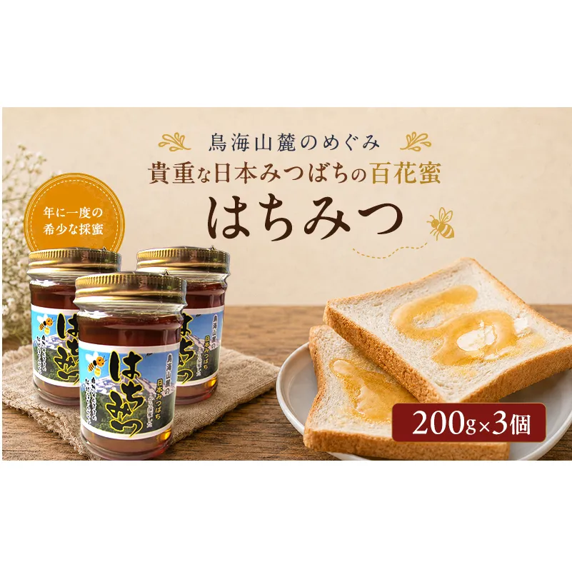 日本みつばちのはちみつ 百花蜜 3個セット 200g×3個 ( 蜂蜜 国産 ) はちみつ ハチミツ 秋田県 にかほ