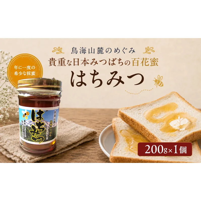 日本みつばちのはちみつ 百花蜜 200g×1個 ( 蜂蜜 国産 ) はちみつ ハチミツ 秋田県 にかほ