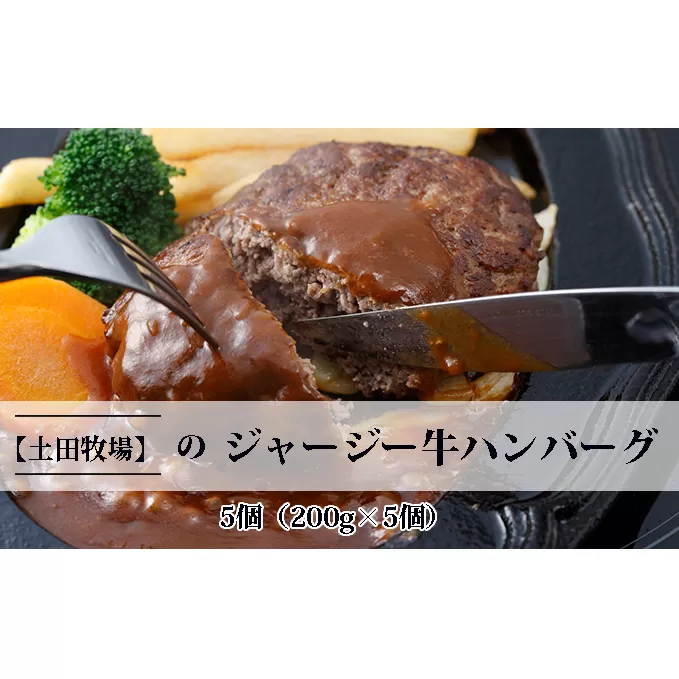 ジャージー牛を使用した ハンバーグ 5個（200g×5個） お肉 加工食品 惣菜 レトルト 