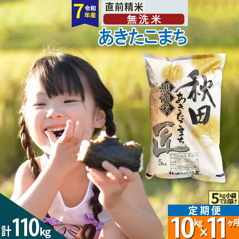 【無洗米】＜令和7年産＞《定期便11ヶ月》秋田県産 あきたこまち 10kg (5kg×2袋) ×11回 10キロ お米 匠  秋田県仙北市