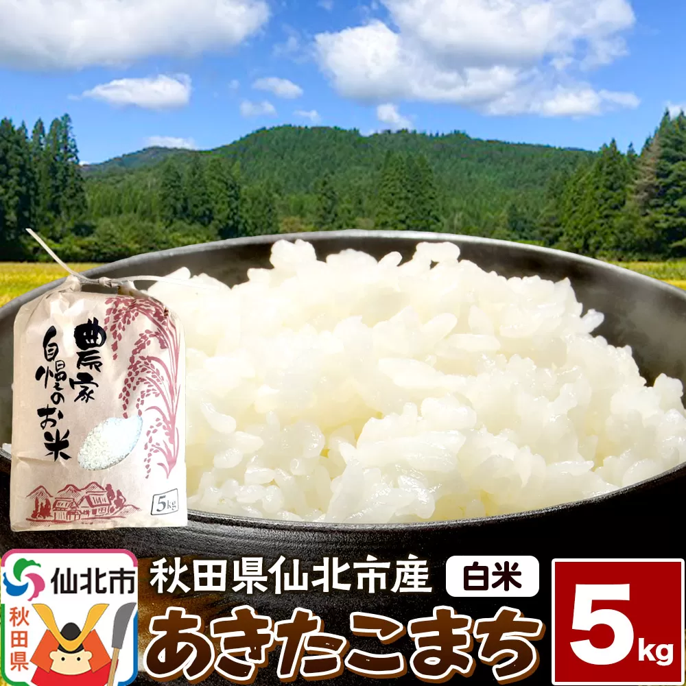 【白米】令和7年産 あきたこまち 5kg 米 お米 こめ 精米 秋田県 仙北市産 秋田県仙北市