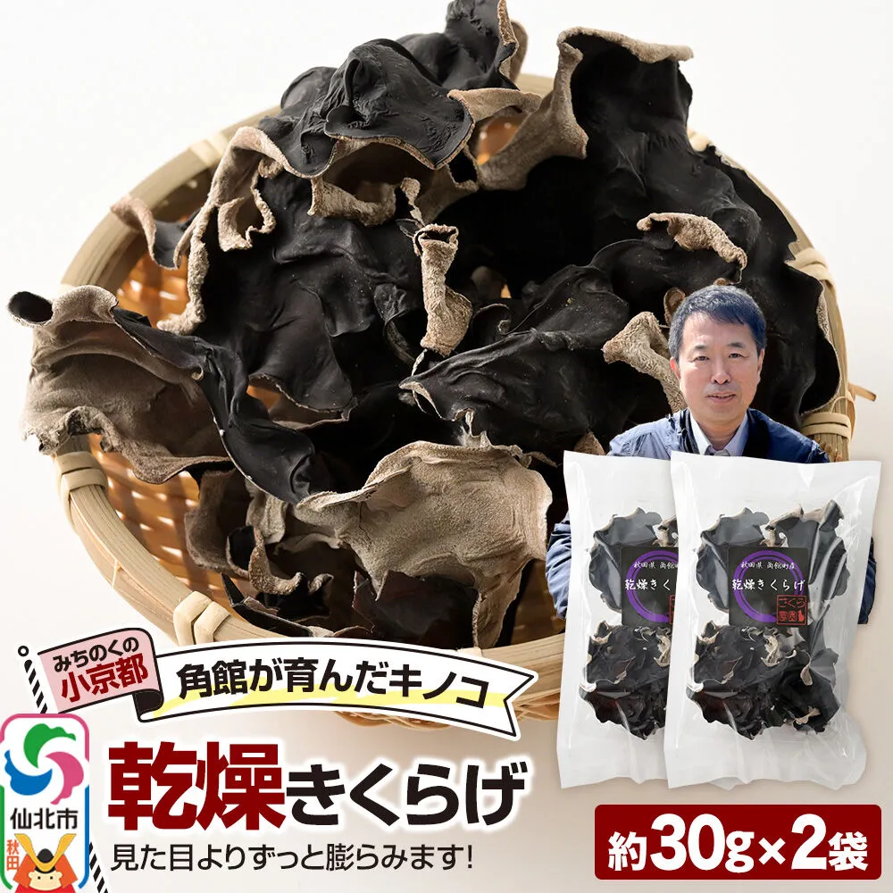 乾燥きくらげ 約30g×2袋 [きくらげ 木耳 キクラゲ 乾燥 手のひらサイズ 秋田県 仙北市 角館] 秋田県仙北市