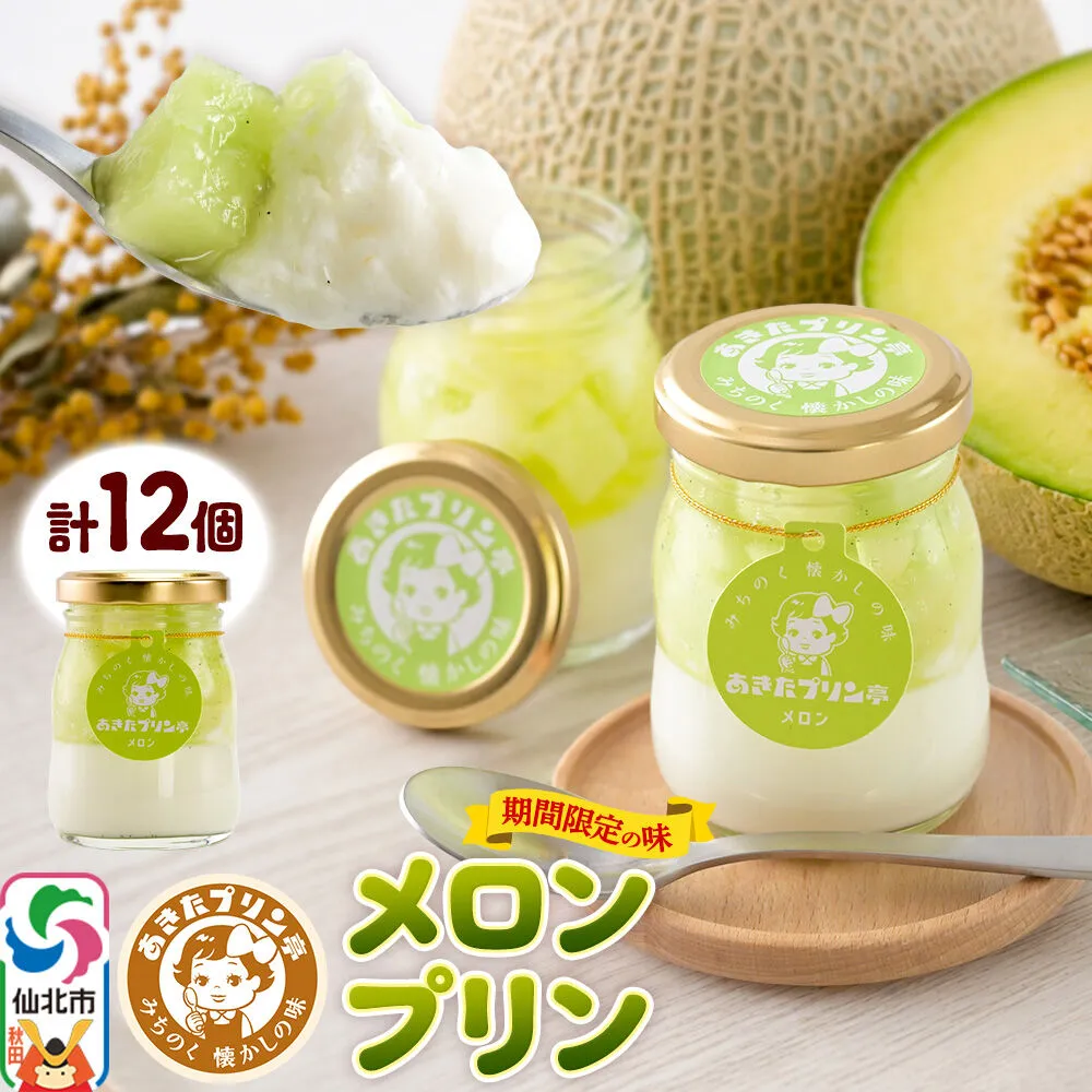 あきたプリン亭 メロンプリンセット 12個入り [手作り あきたプリン亭 ぷりん メロン お菓子 洋生菓子 洋菓子 高級 お取り寄せ スイーツ ギフト プレゼント 詰め合わせ] 秋田県仙北市