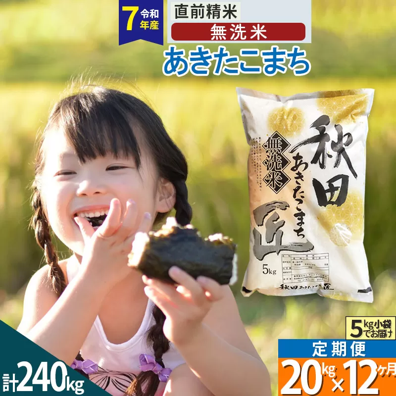 【無洗米】＜令和7年産＞《定期便12ヶ月》秋田県産 あきたこまち 20kg (5kg×4袋) ×12回 20キロ お米 匠  秋田県仙北市