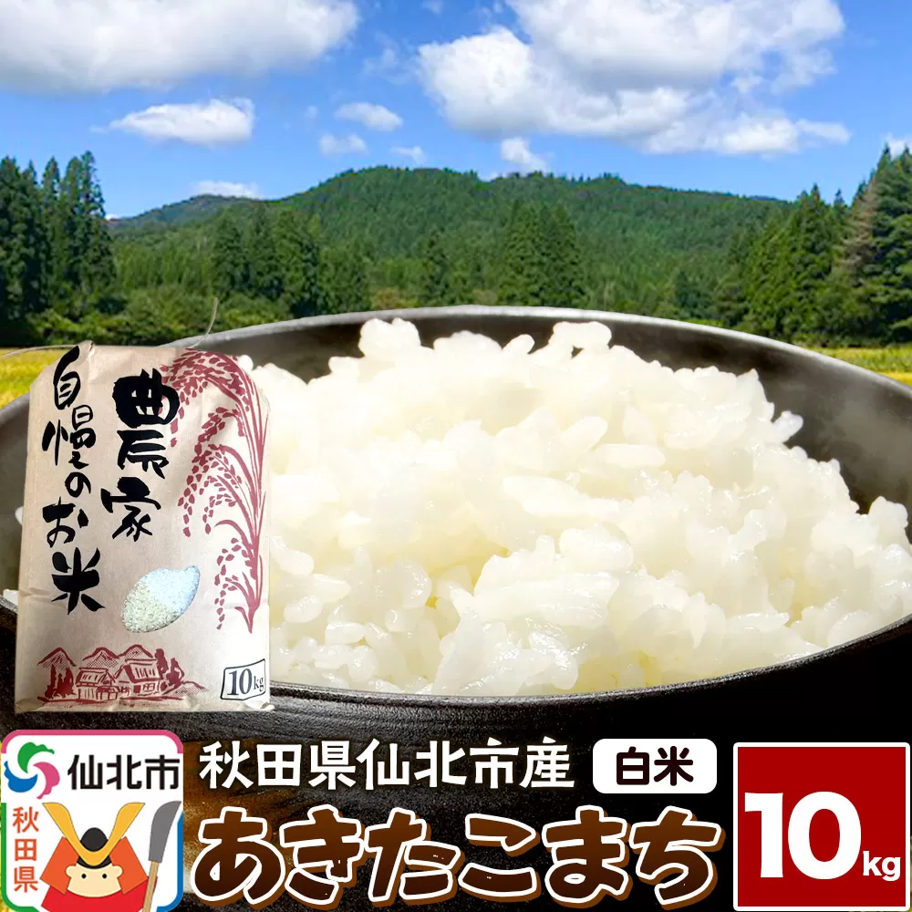 【白米】令和7年産 あきたこまち 10kg 米 お米 こめ 精米 秋田県 仙北市産 秋田県仙北市