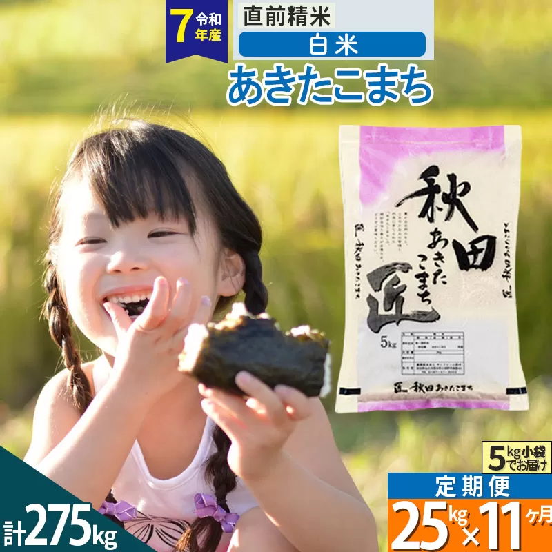 【白米】＜令和7年産＞ 《定期便11ヶ月》秋田県産 あきたこまち 25kg (5kg×5袋)×11回 25キロ お米 匠  秋田県仙北市
