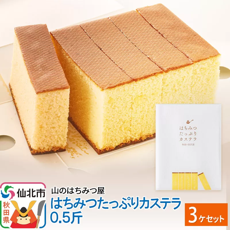 はちみつたっぷりカステラ 0.5斤 3個 セット 山のはちみつ屋