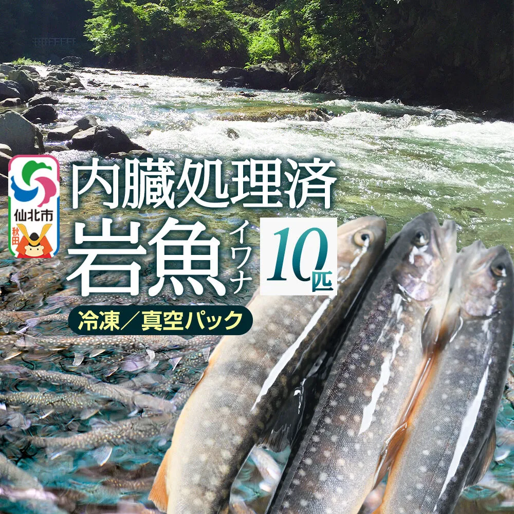 岩魚（イワナ）冷凍 内臓処理済み 10匹 長四郎 秋田県仙北市