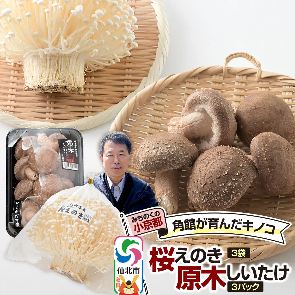 みちのくの小京都・角館が育んだ「2種セット」（桜えのき約300g×3袋、原木しいたけ×3パック） [えのき エノキ しいたけ 椎茸 シイタケ 秋田県 仙北市 角館] 秋田県仙北市