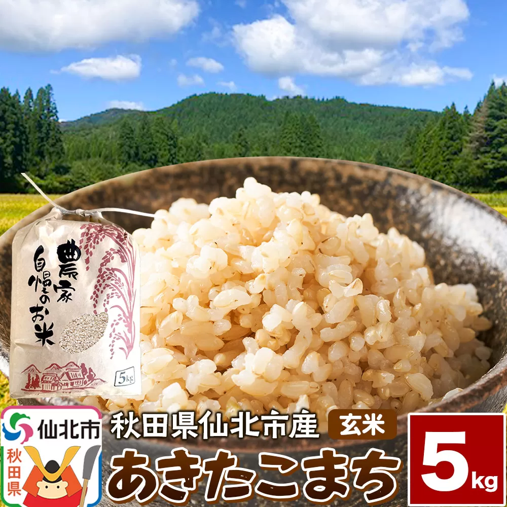 【玄米】令和7年産 あきたこまち 5kg 米 お米 こめ 秋田県 仙北市産 秋田県仙北市
