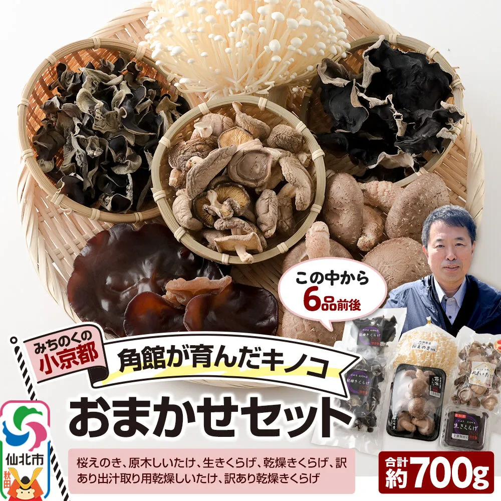 みちのくの小京都・角館が育んだ「おまかせセット」（桜えのき、原木しいたけ、生きくらげ、乾燥きくらげ、訳あり出汁取り用乾燥しいたけ、訳あり乾燥きくらげ）合計約700g(6品前後) [えのき エノキ しいたけ 椎茸 シイタケきくらげ 木耳 キクラゲ 園主おすすめ 生 乾燥 出汁 訳あり 秋田県 仙北市 角館] 秋田県仙北市