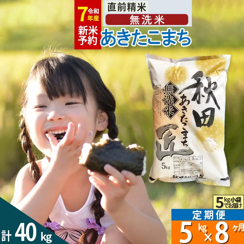 【無洗米】＜令和7年産 新米予約＞《定期便8ヶ月》秋田県産 あきたこまち 5kg (5kg×1袋) ×8回 5キロ お米  新米