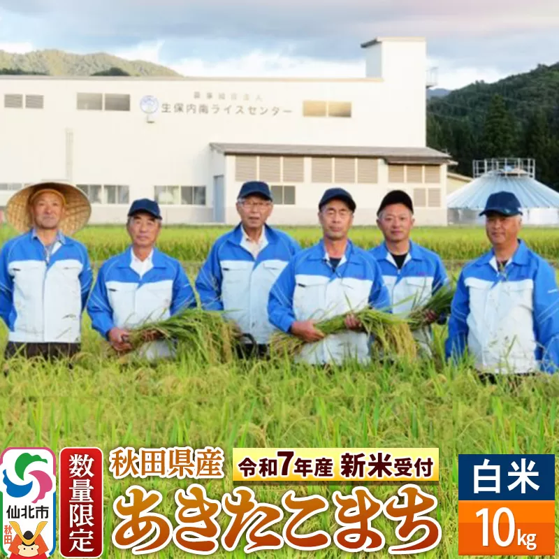 ＜令和7年産 新米予約＞【白米】あきたこまち 10kg（10kg×1袋）精米  秋田県仙北市産 10キロ