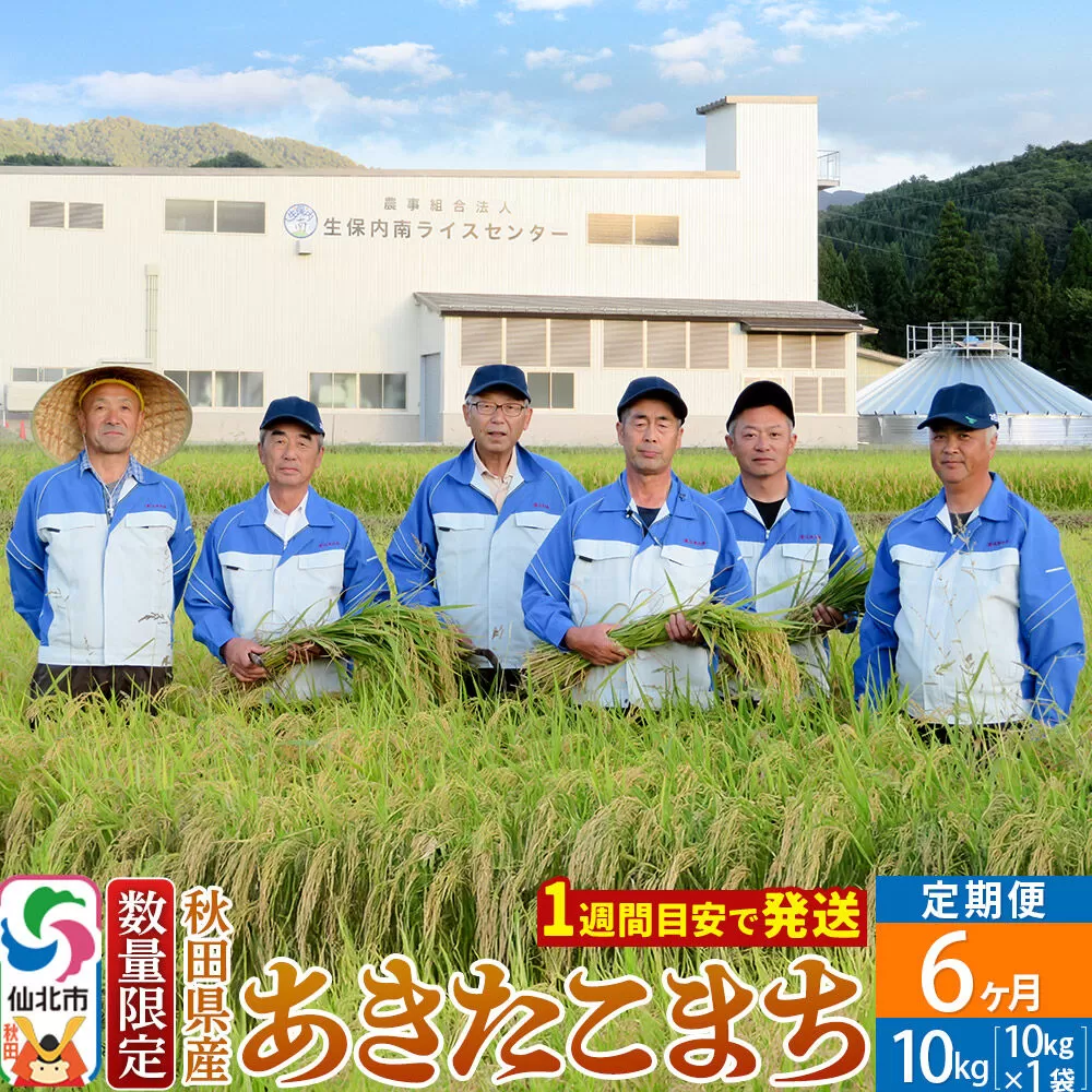 《定期便6ヶ月》【白米】令和8年産 あきたこまち 10kg（10kg×1袋）×6回 精米 秋田県仙北市産 10キロ [食味ランキング 特A 通算23回 産地 秋田県 仙北市 産米 お米] 秋田県仙北市