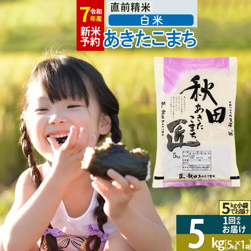 【白米】＜令和7年産 新米予約＞ 秋田県産 あきたこまち 5kg (5kg×1袋) 5キロ お米 新米