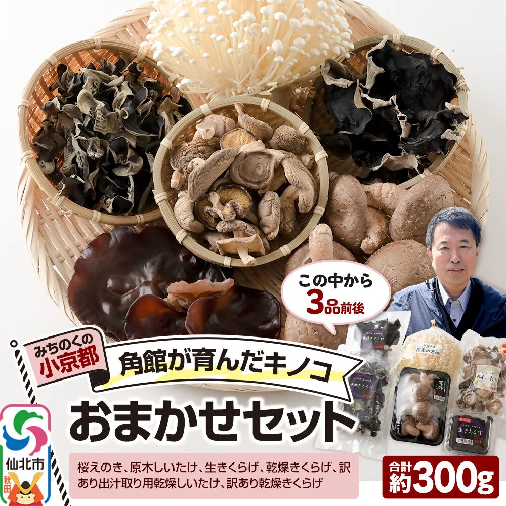 みちのくの小京都・角館が育んだ「おまかせセット」（桜えのき、原木しいたけ、生きくらげ、乾燥きくらげ、訳あり出汁取り用乾燥しいたけ、訳あり乾燥きくらげ）合計約300g(3品前後) [えのき エノキ しいたけ 椎茸 シイタケきくらげ 木耳 キクラゲ 園主おすすめ 生 乾燥 出汁 訳あり 秋田県 仙北市 角館] 秋田県仙北市