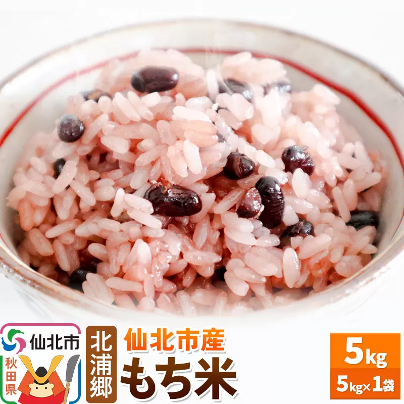 米 仙北市産 令和7年産 もち米 5kg1袋 秋田県仙北市