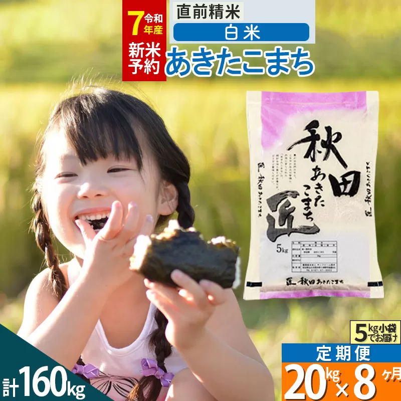 【白米】＜令和7年産 新米予約＞ 《定期便8ヶ月》秋田県産 あきたこまち 20kg (5kg×4袋)×8回 20キロ お米  新米