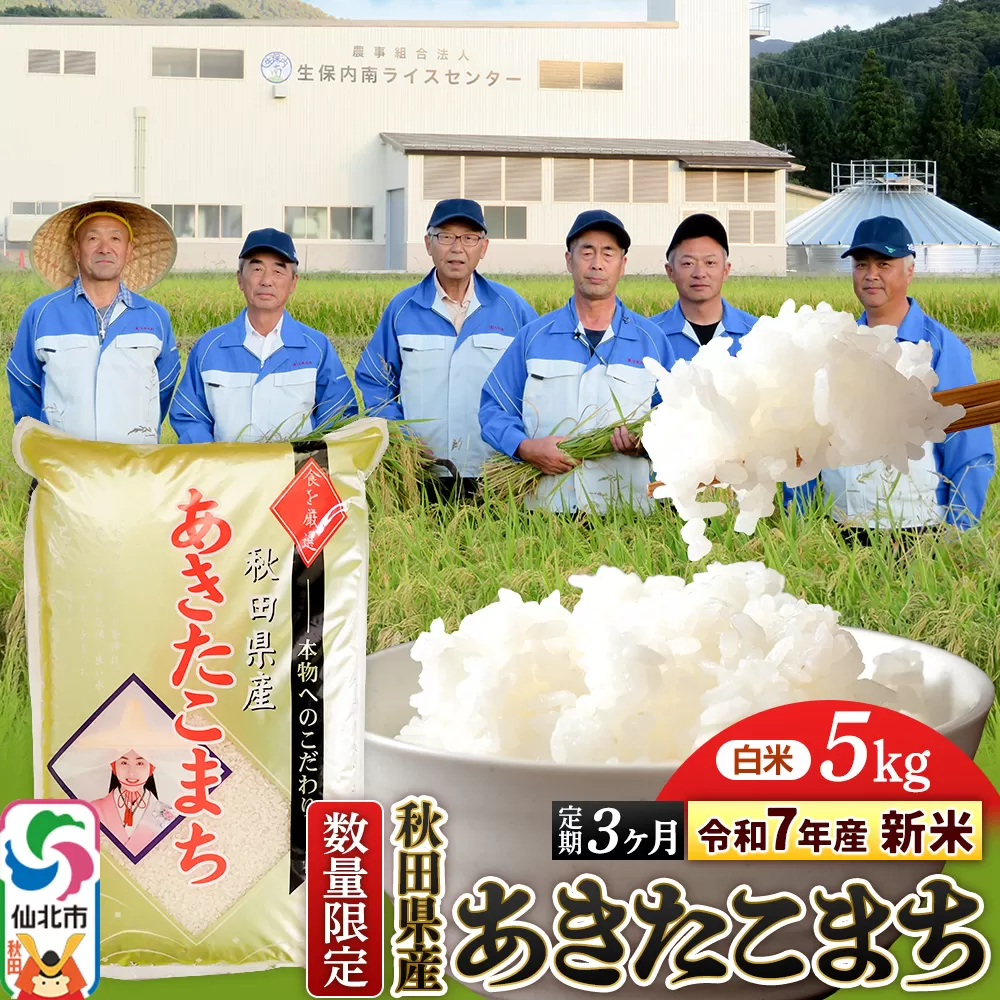 ＜令和7年産 新米＞《定期便3ヶ月》【白米】あきたこまち 5kg（5kg×1袋）×3回 精米  秋田県仙北市産 5キロ 秋田県仙北市